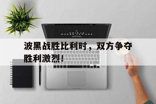 波黑战胜比利时，双方争夺胜利激烈！的简单介绍